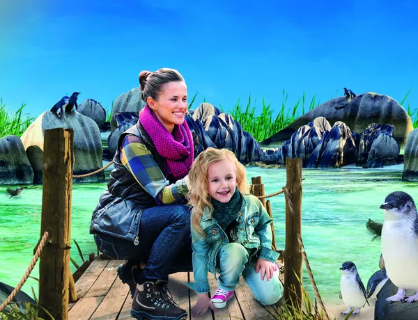Sea Life Weymouth Penguin Island