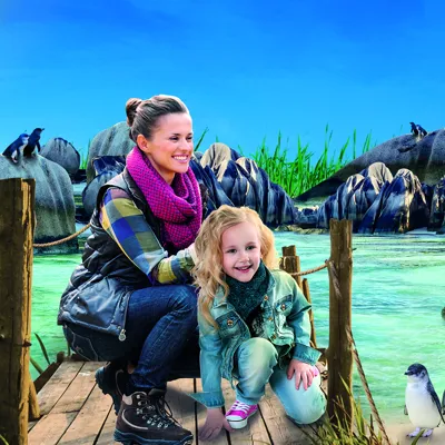 Sea Life Weymouth Penguin Island